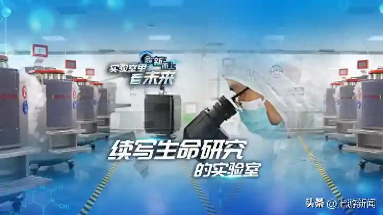 实验室里看未来 | 续写生命研究的实验室