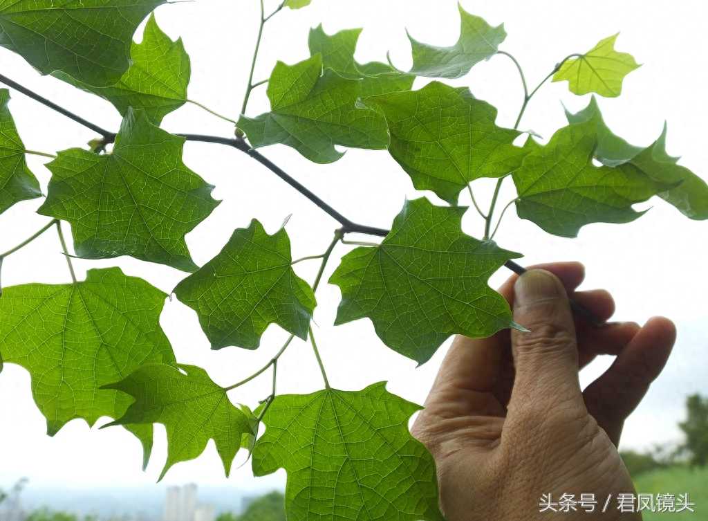 注意！防控新冠肺炎，这9个都是误区