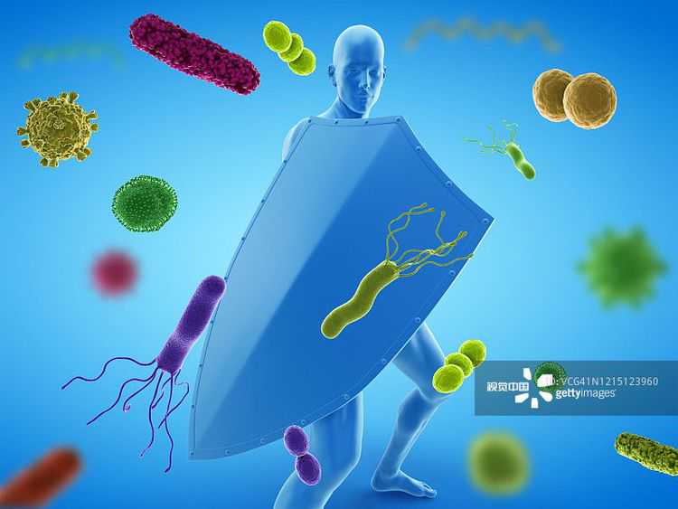 西北保胎王的故事