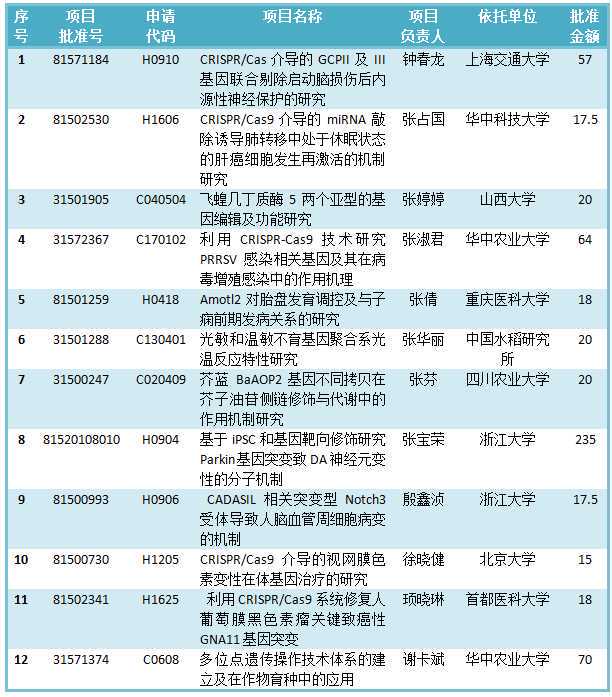 原创散文：她像个圣女一样躺到造血干细胞采集床上
