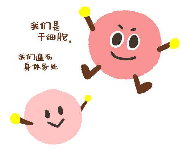 人脐带间充质干细胞疗法成功治愈一位老年危重新冠患者