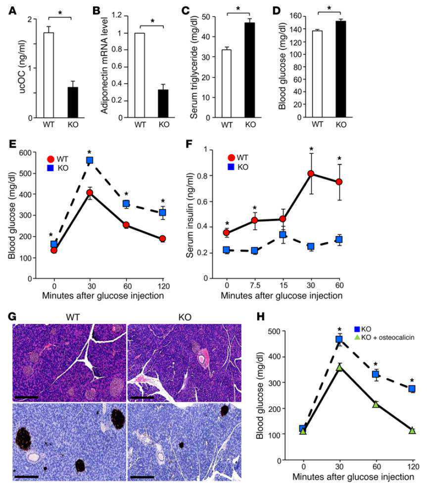 生命相托，永不言弃——记解放军总医院重症医学科主任周飞虎