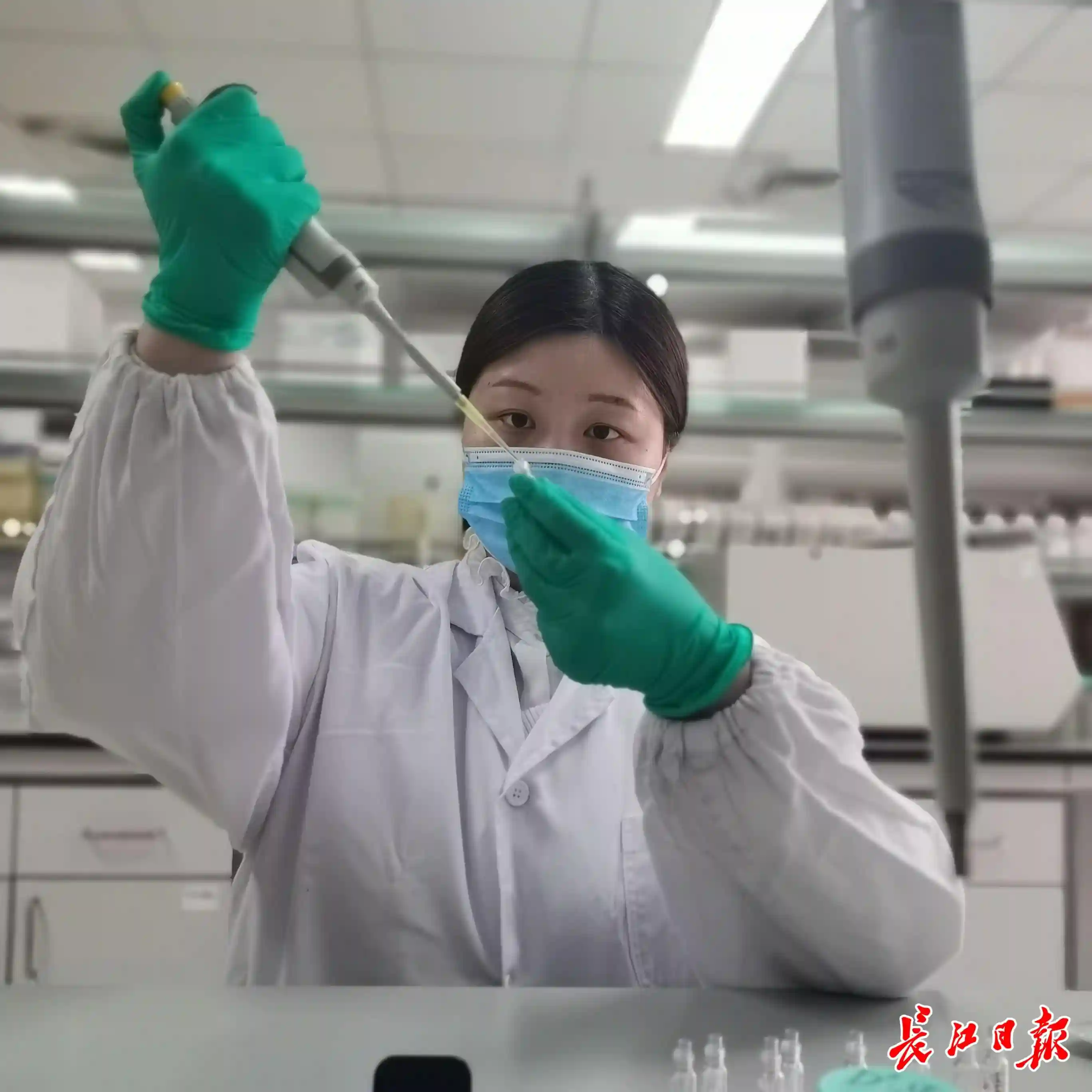 一亩水稻可提纯2公斤人血清白蛋白，武汉光谷生物城孕育世界级原创成果