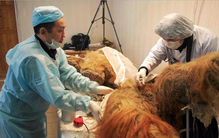 9月9日 一句话看世界：新闻早知道