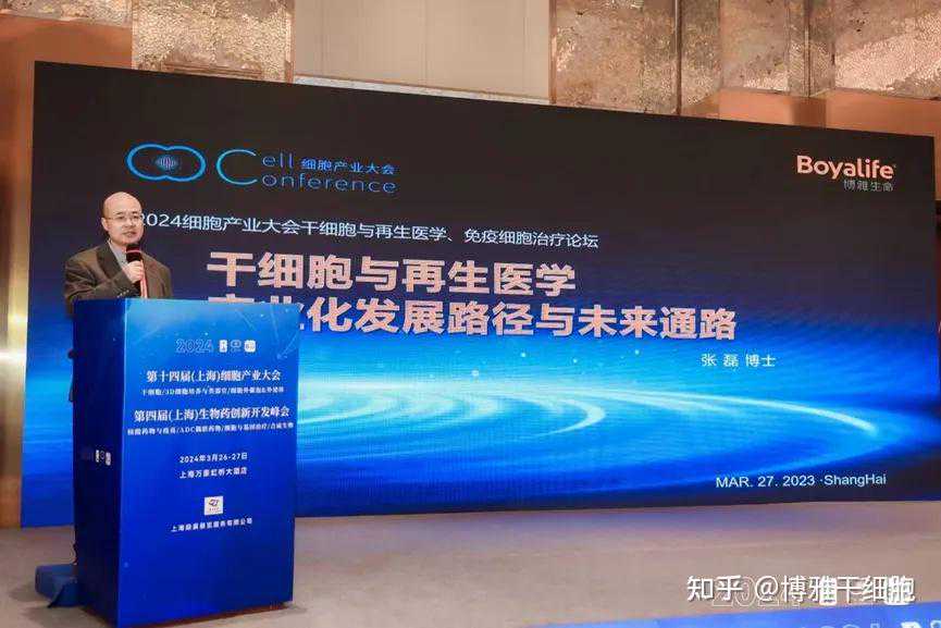 间充质干细胞治疗糖尿病足的研究现状（二）