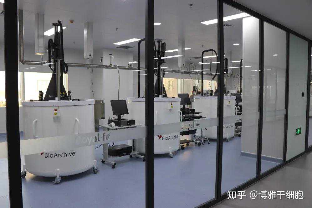 “无聊”的科学家们：研发出让公鼠怀孕方法