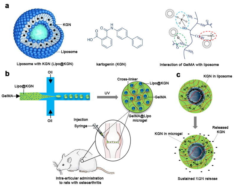 47岁美国亿万富豪换血回春，注射他人脂肪“面目全非”致暂时失明