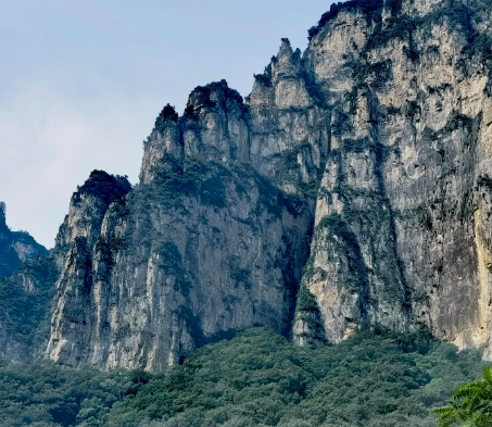 100动态｜比亚迪员工总数突破90万：人力资源支撑规模优势