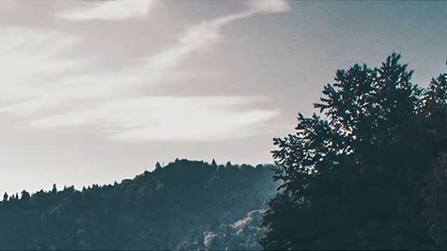 突发！亚当斯赛季报销